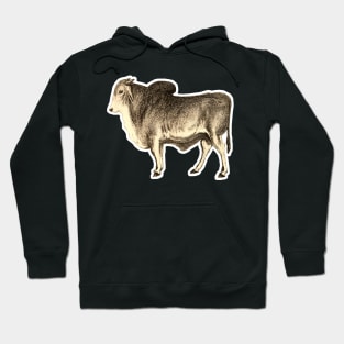 Indian bull ox Hoodie